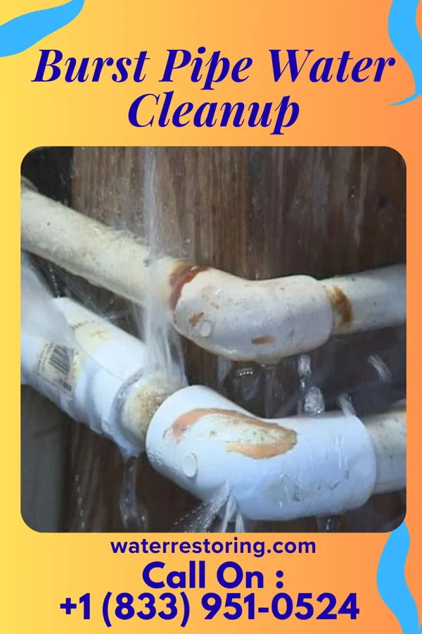 Burst Pipe Water Cleanup in Star Valley, AZ